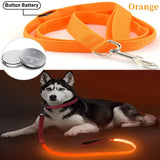 Led Pet Dog Leash Rope With Light Luminous  Lead Leash USB Charging for Dog Safety Flashing Glowing Collar Harness Accessories